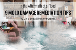 In the Aftermath of a Flood: 9 Mold Damage Remediation Tips